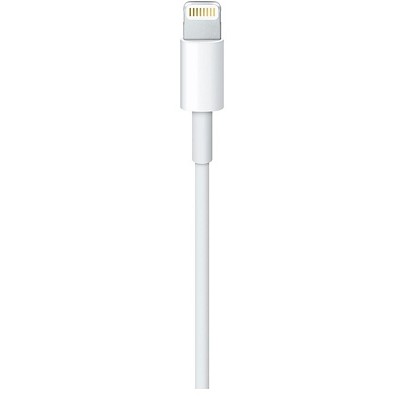 Apple USB-C auf Lightning Kabel 2M Retail